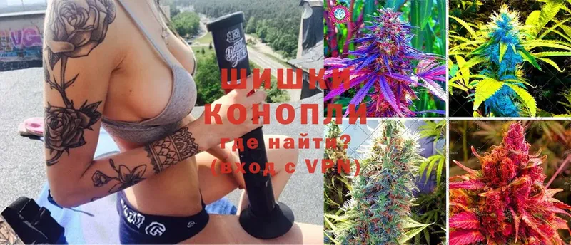 Шишки марихуана сатива  MEGA ссылка  Изобильный 